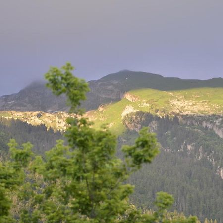 Domaine Du Grand Tetras Samoens Apartman Kültér fotó