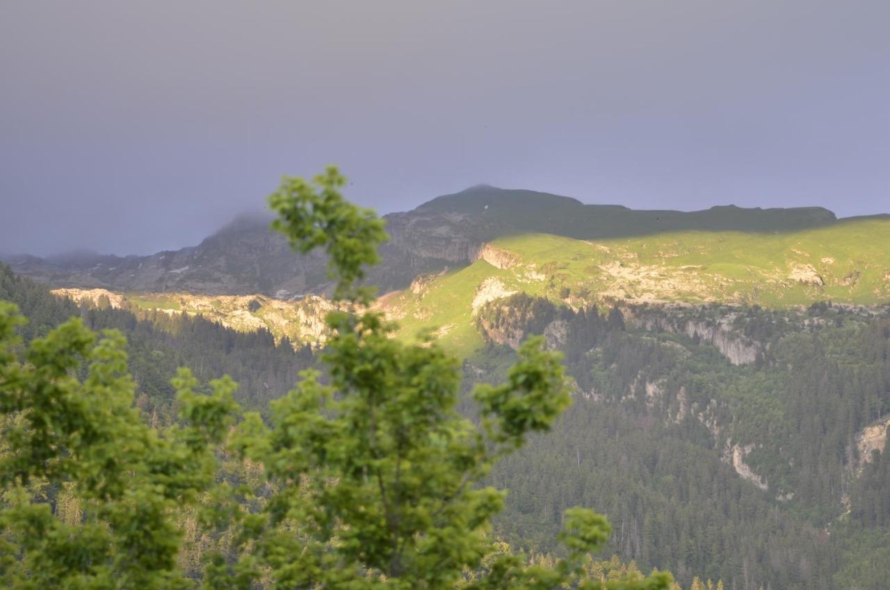 Domaine Du Grand Tetras Samoens Apartman Kültér fotó