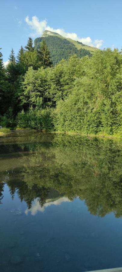 Domaine Du Grand Tetras Samoens Apartman Kültér fotó